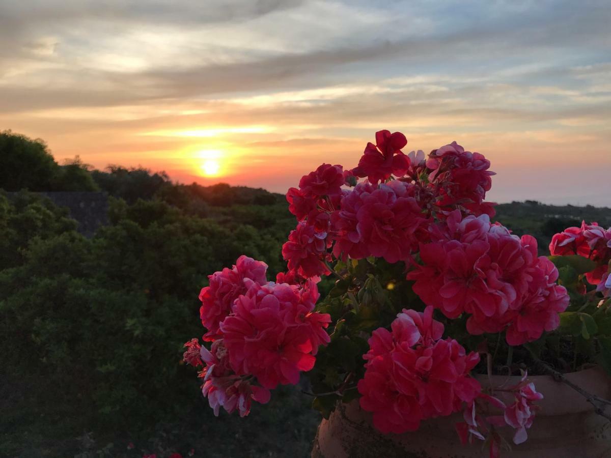 Agrume Country House Santa Venerina Luaran gambar
